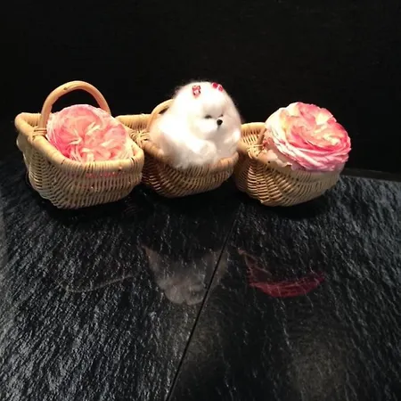 Les Petits Paniers
